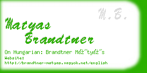 matyas brandtner business card